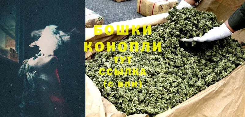 закладка  Ивантеевка  Канабис Ganja 